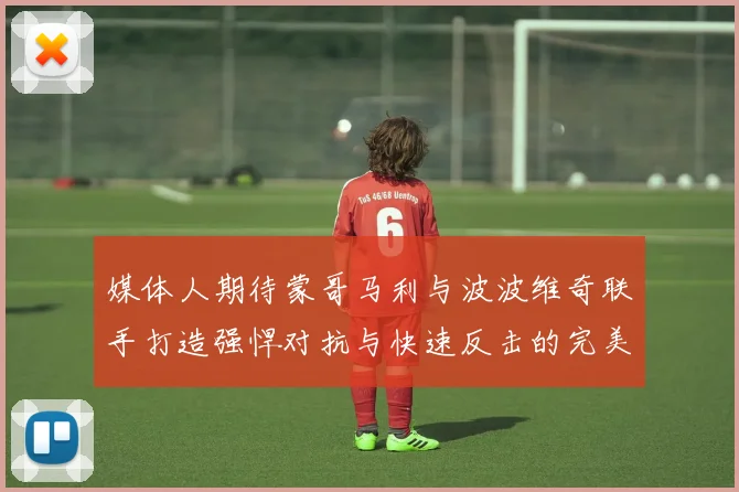 媒体人期待蒙哥马利与波波维奇联手打造强悍对抗与快速反击的完美结合