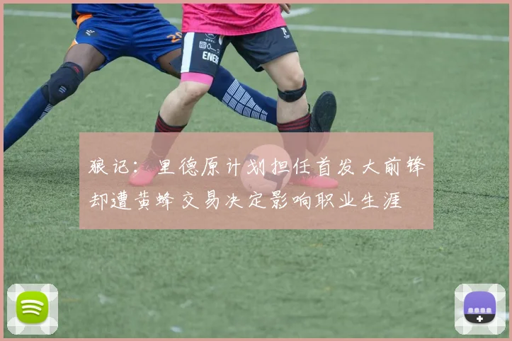 狼记：里德原计划担任首发大前锋却遭黄蜂交易决定影响职业生涯